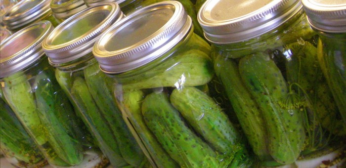 pickles-de-pepino