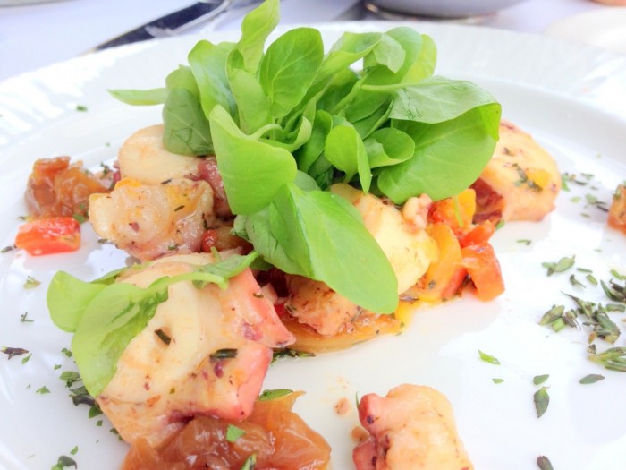iguaria-salada-com-polvo