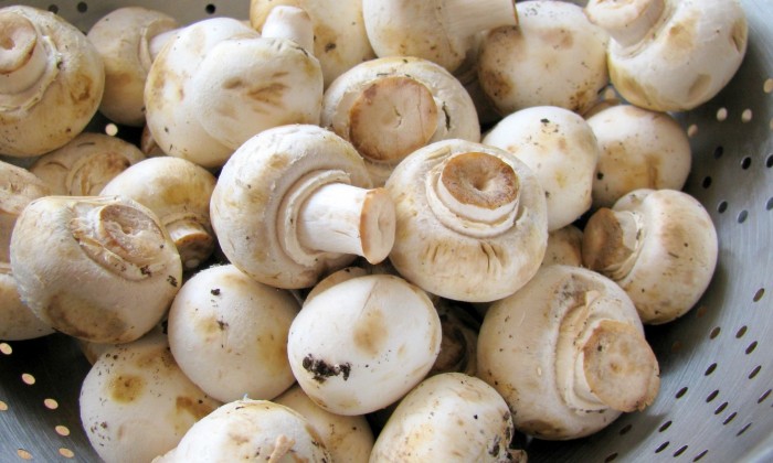 iguaria-bifinhos-cogumelos-natas-cogumelos