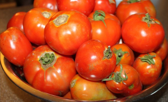 tomates-frescos