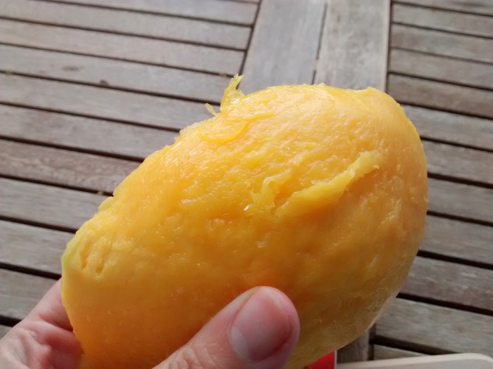 12-Perfeito-Naco-de-Manga