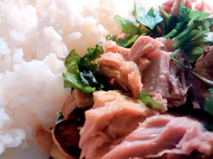 Atum-com-Arroz-2