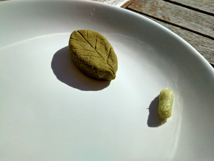 Wasabi-em-Po-Liquido.jpg