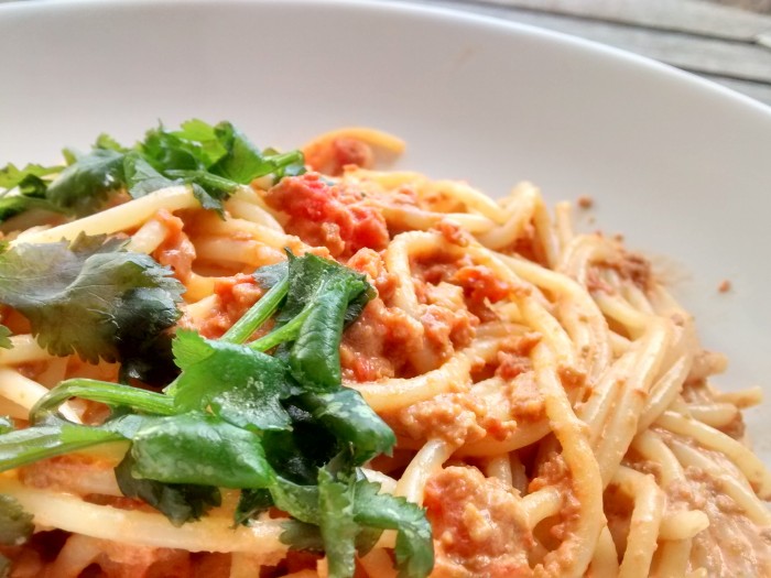 Bolonhesa-de-Tomate-e-Soja