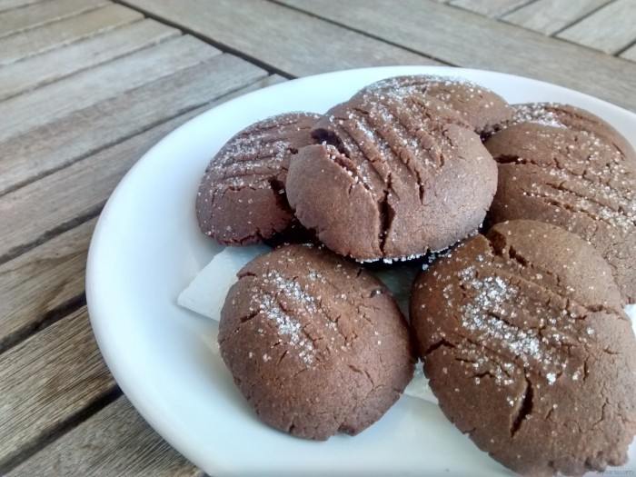 Iguaria_Biscoitos-de-Chocolate
