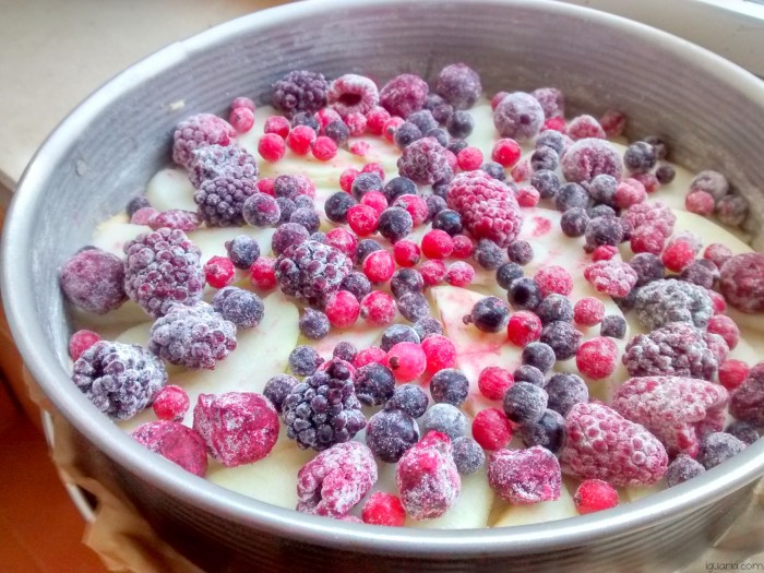 Iguaria_Dispor-Frutos-Vermelhos