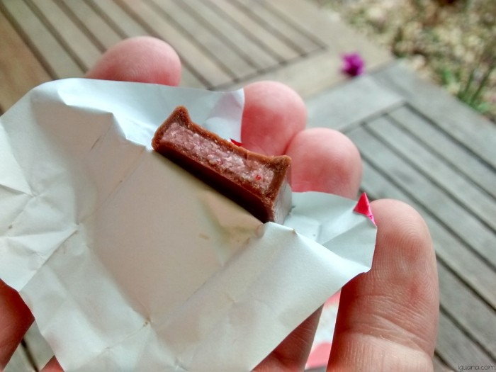 Iguaria_Interior-Chocolate-Morango-Meiji