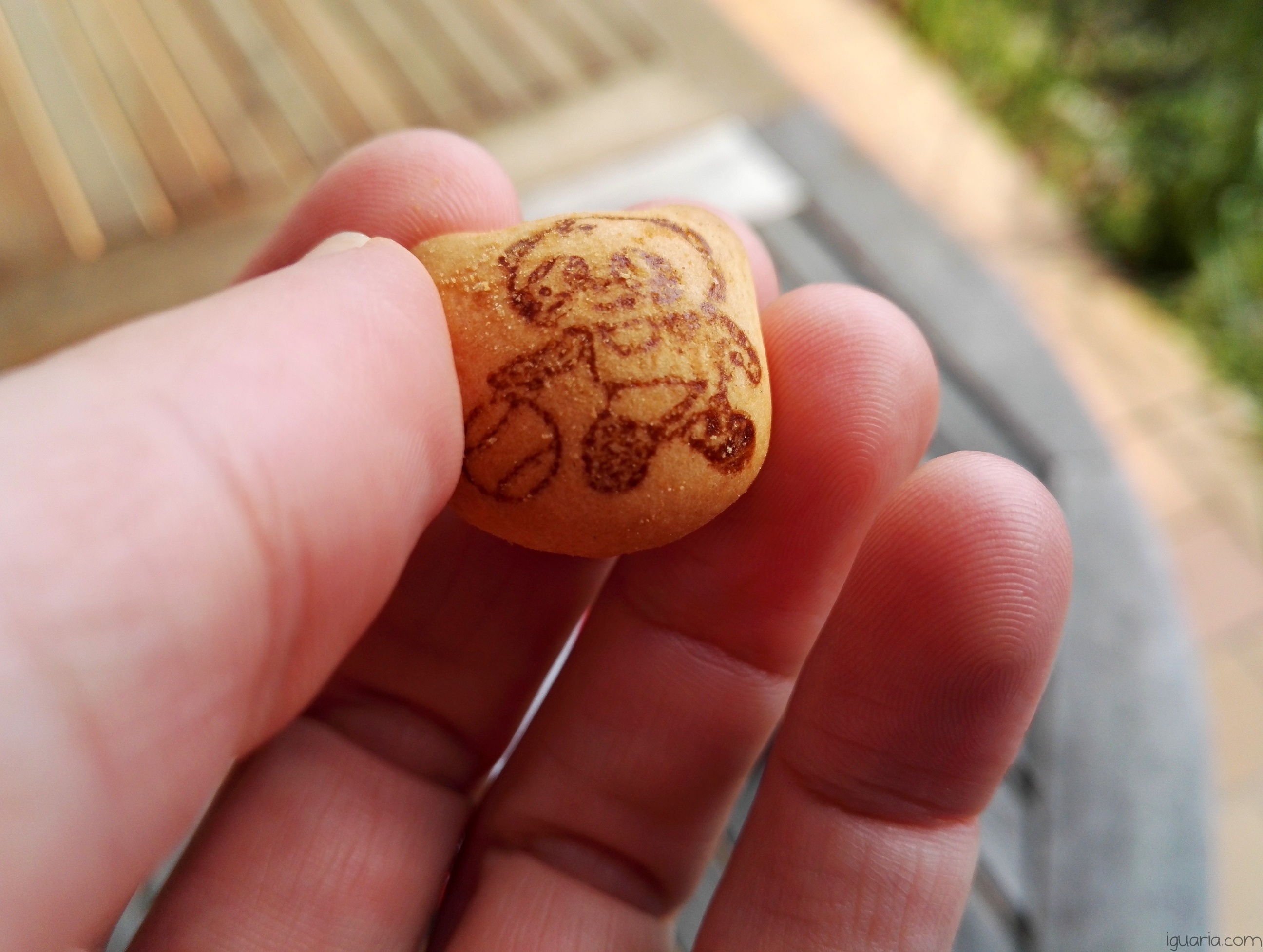 Iguaria_Biscoitos-Hello-Panda