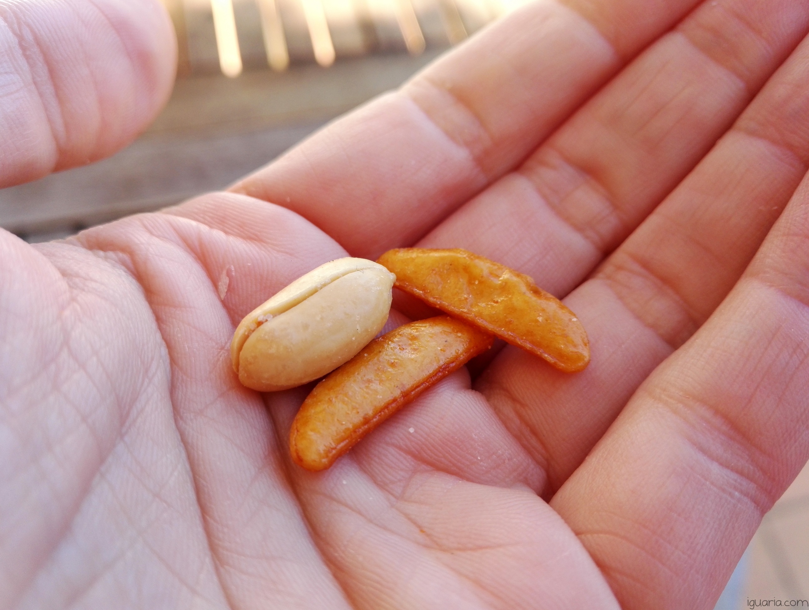 Iguaria_Snacks-de-Arroz-de-Wasabi-Amendoin