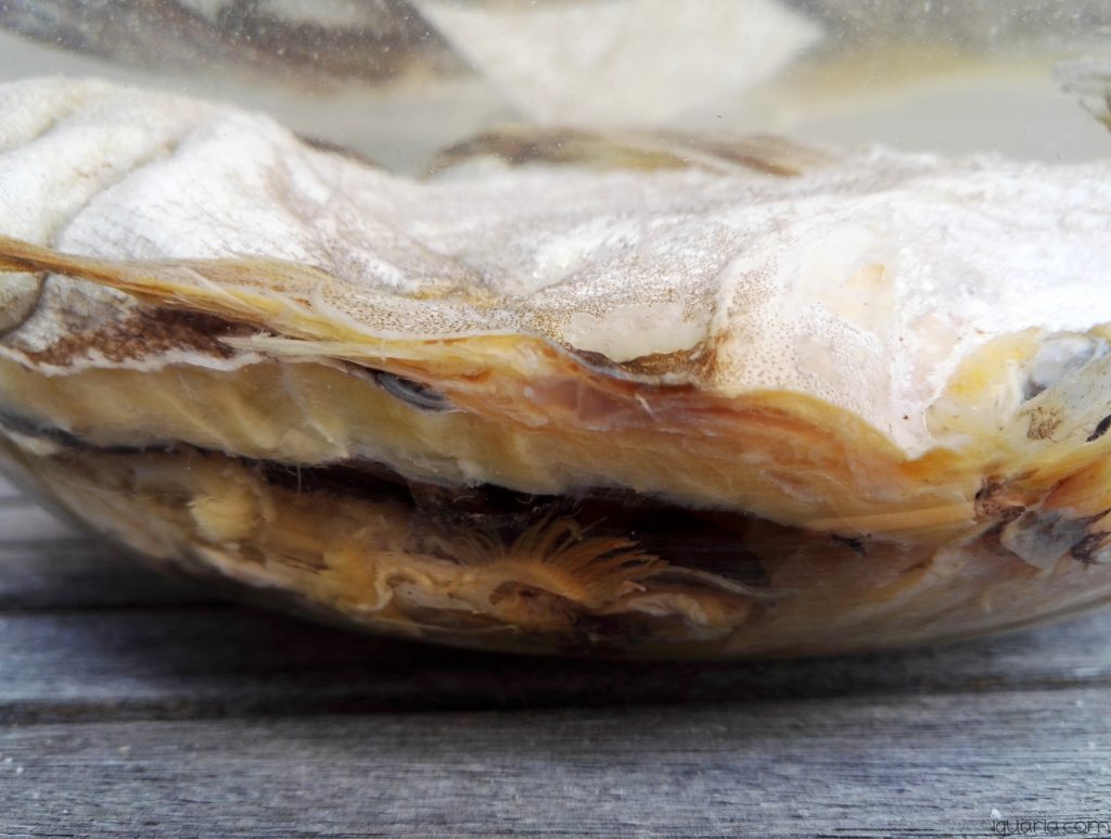 Como Cortar e Demolhar Bacalhau • Iguaria Receita e Culinária