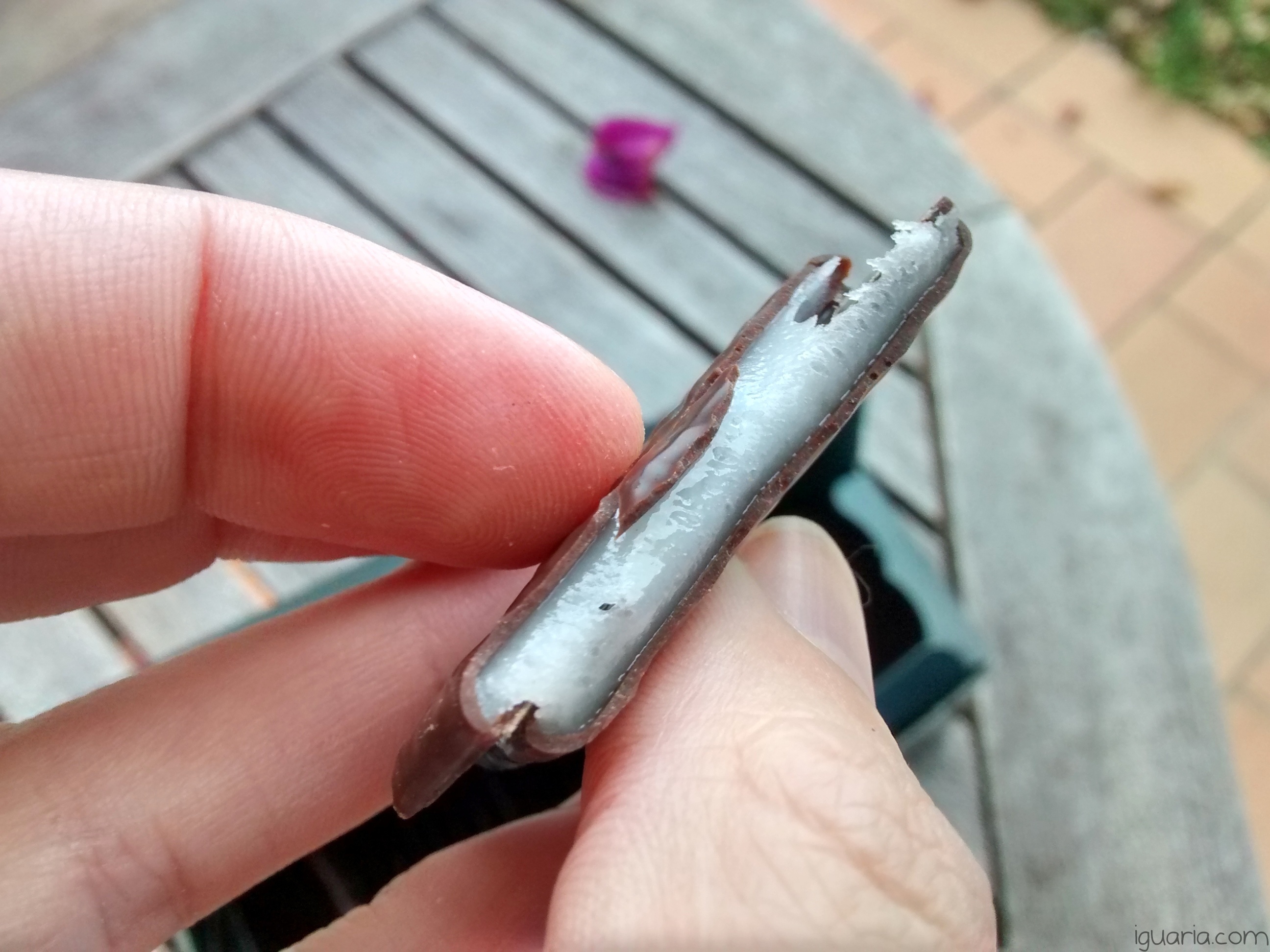 iguaria_chocolate-com-recheio-de-menta