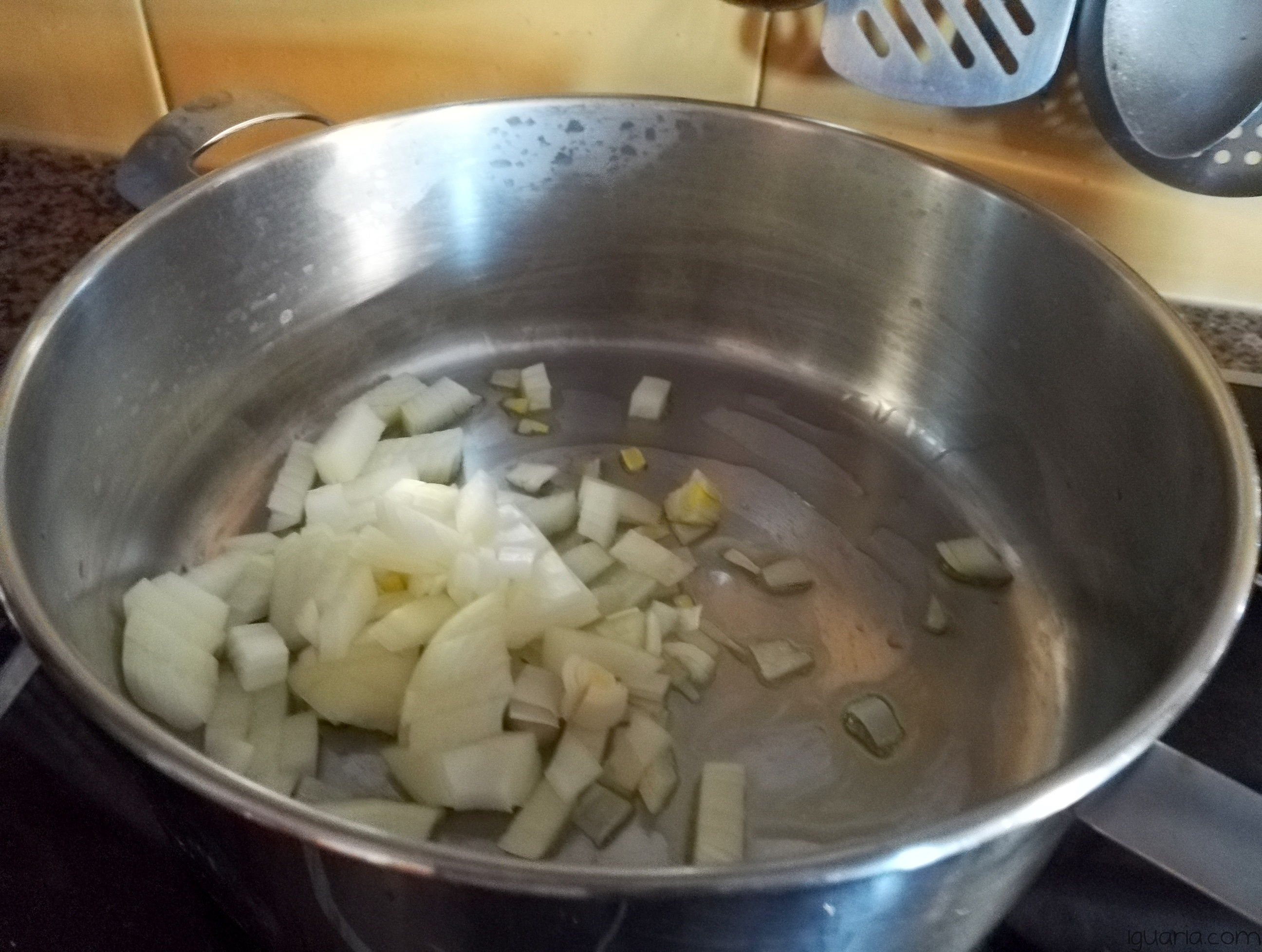 iguaria-cebolas-a-refogar