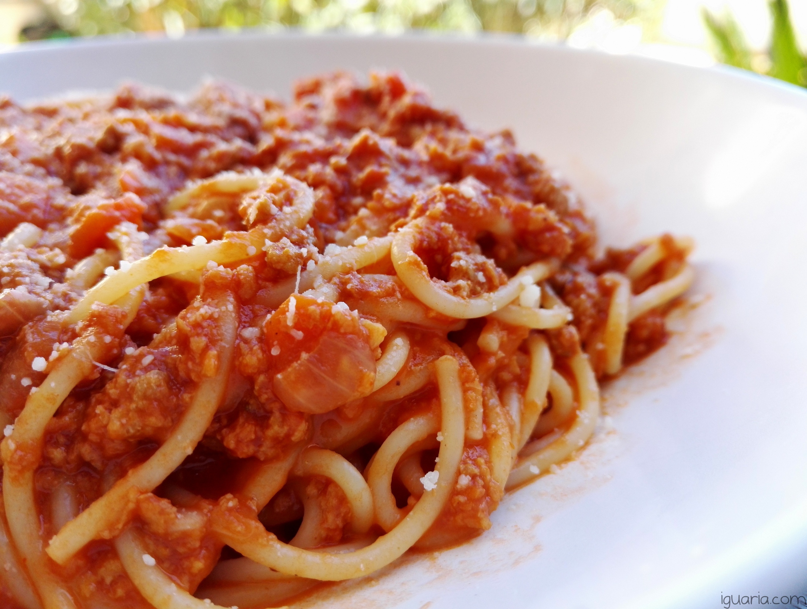 iguaria-esparguete-com-bolonhesa-porco-vaca