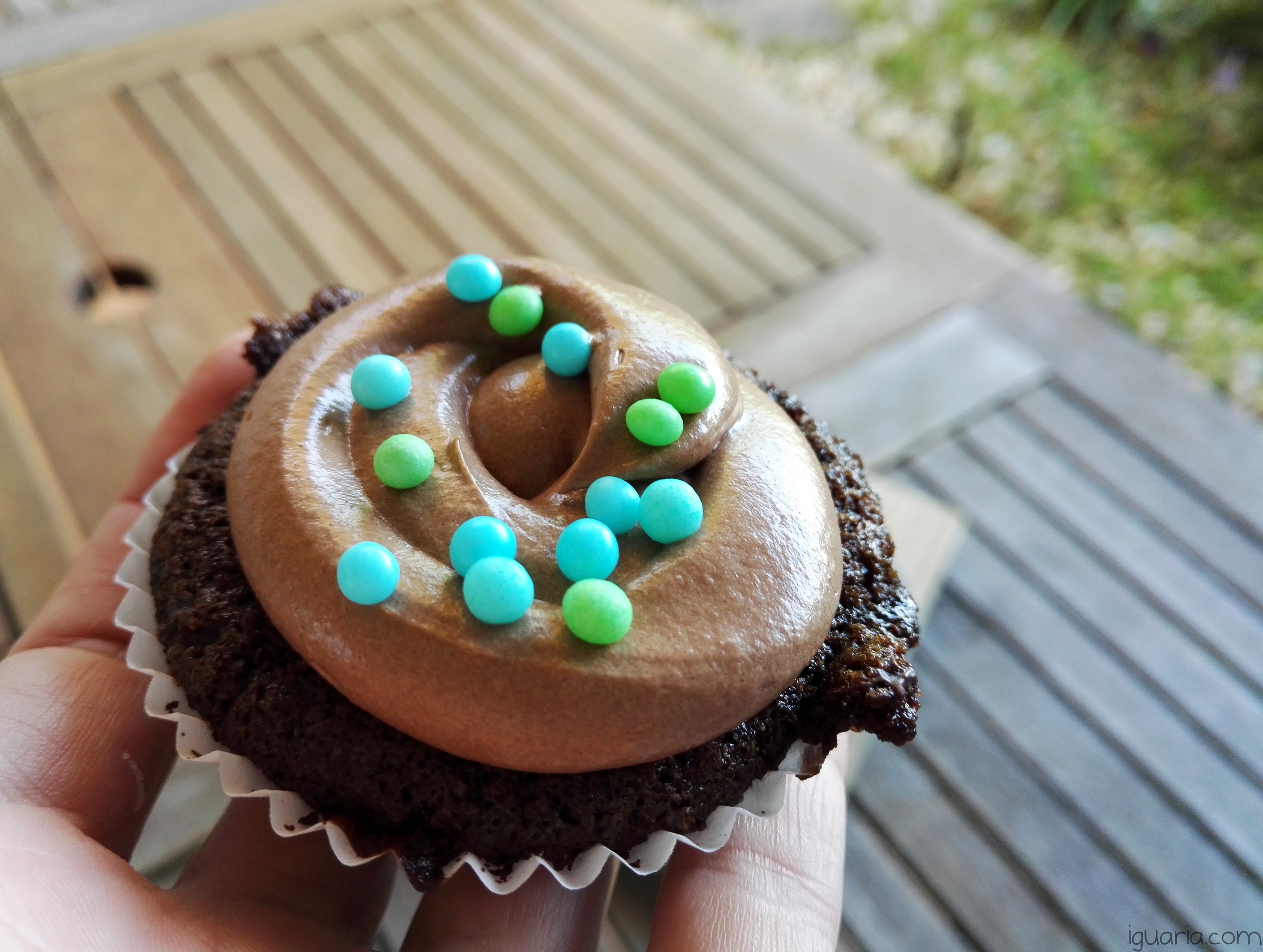 iguaria-cupcake-coberto-chocolate-sprinkles