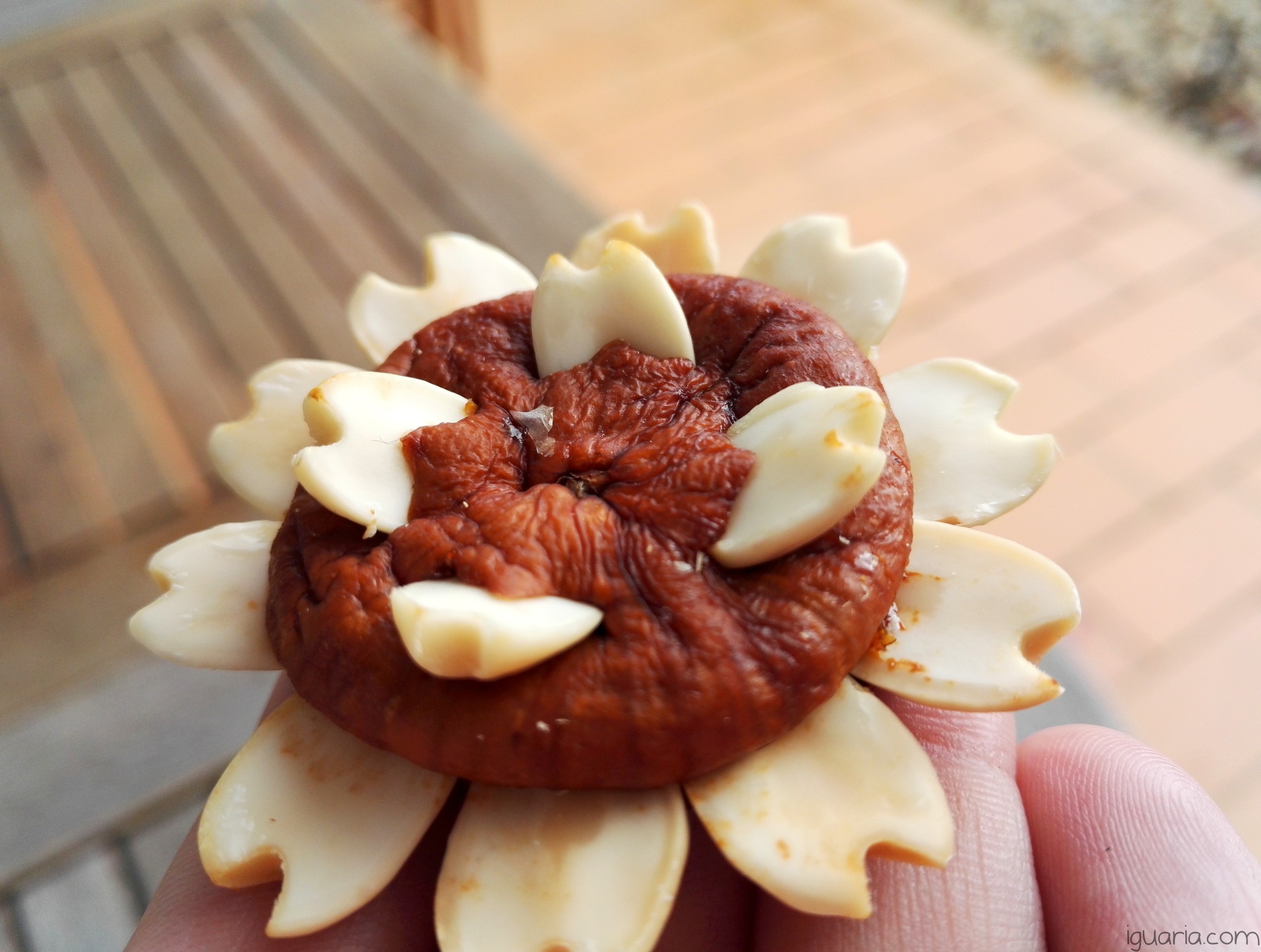 iguaria-estrela-de-figo-seco-com-amendoa