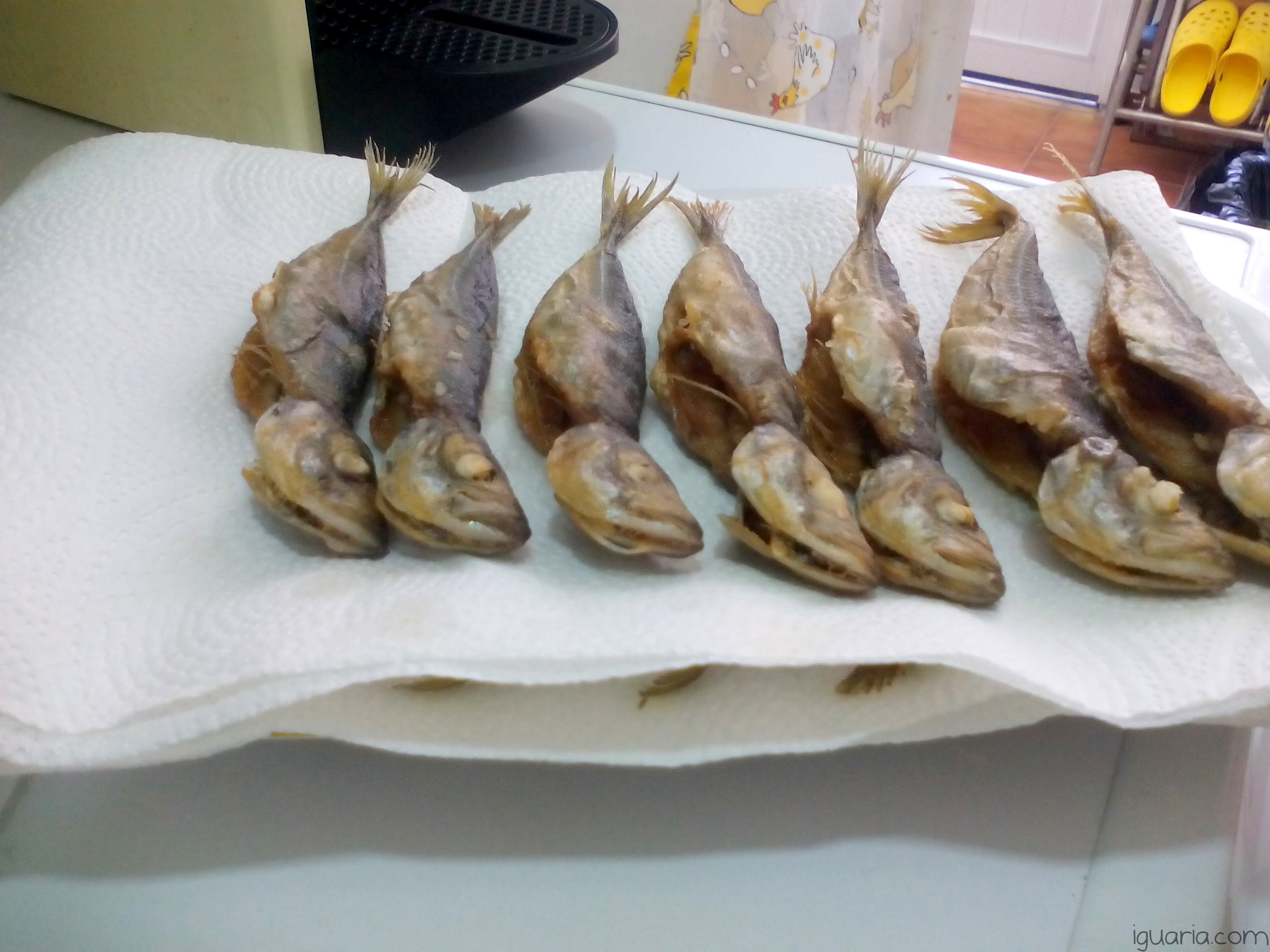 iguaria-sardinhas-fritas-a-descansar