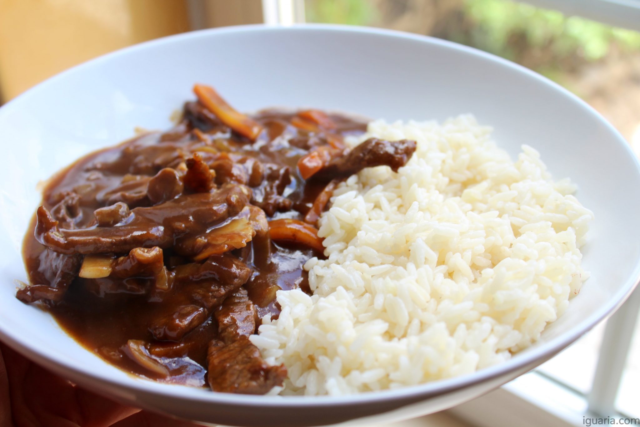 Estufado com DemiGlace Japonês • Iguaria Receita e Culinária