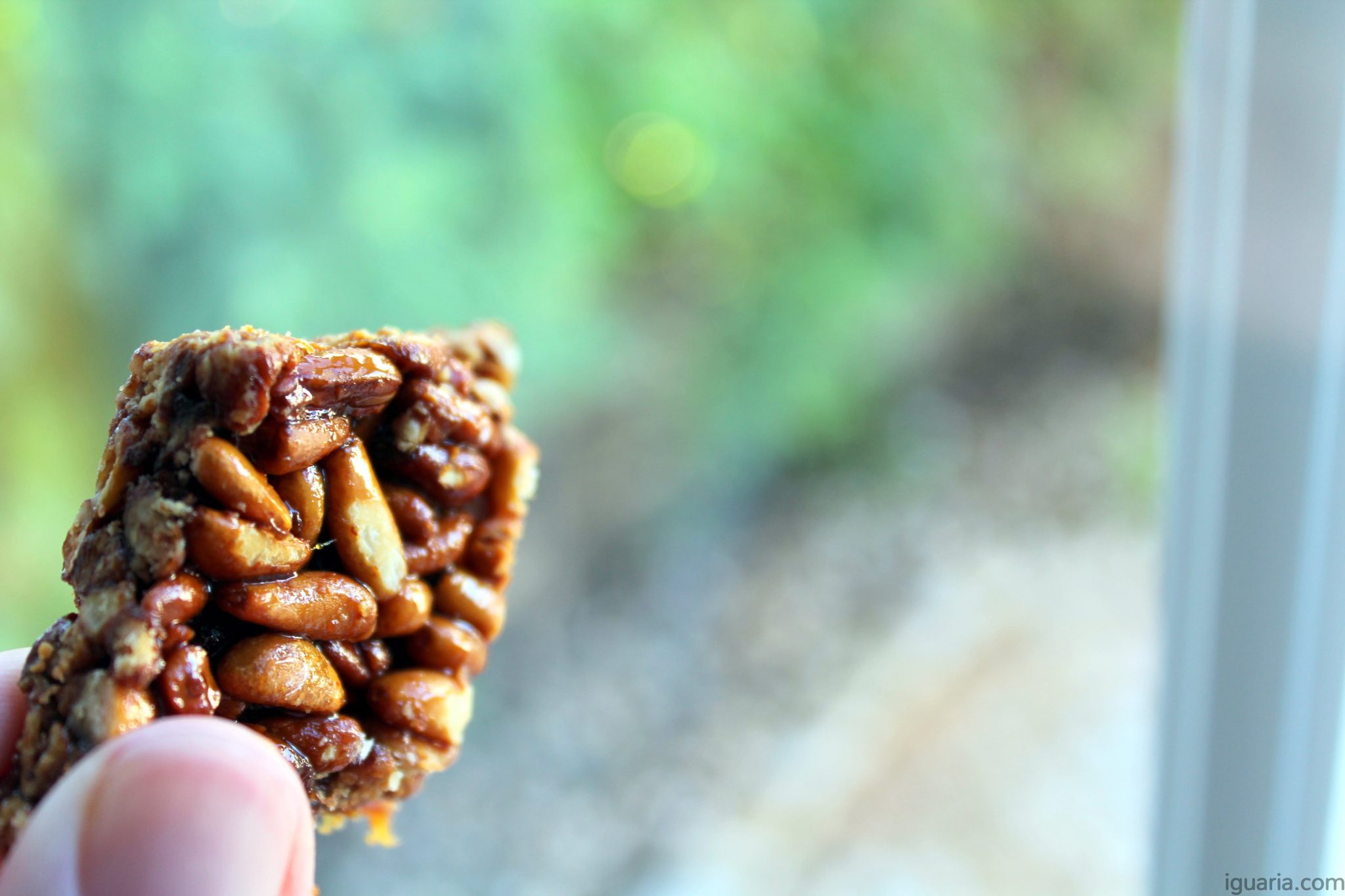 Pinhoadas de Alcácer do Sal • Iguaria Receita e Culinária
