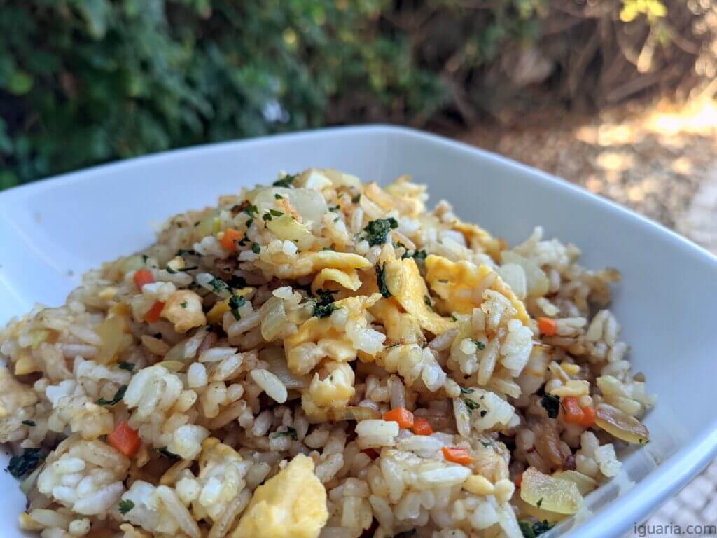 Arroz Frito com Ovo Rápido • Iguaria Receita e Culinária
