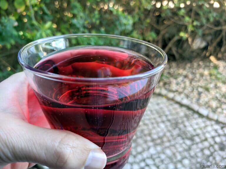 Martini L'Aperitivo Fiero e Tonic • Iguaria Receita e Culinária