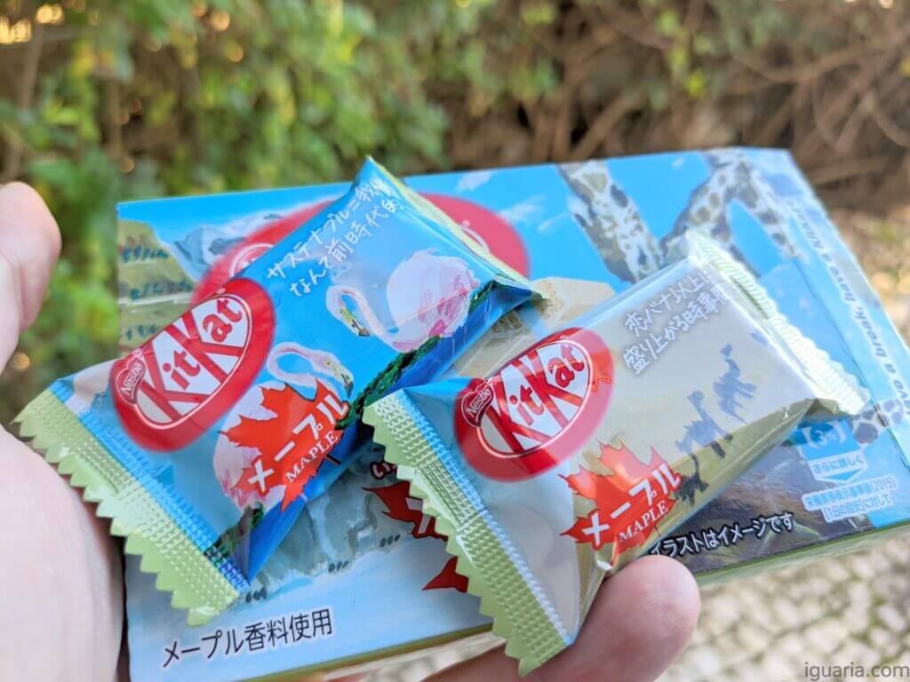 Kitkat Maple Syrup • Iguaria Receita e Culinária