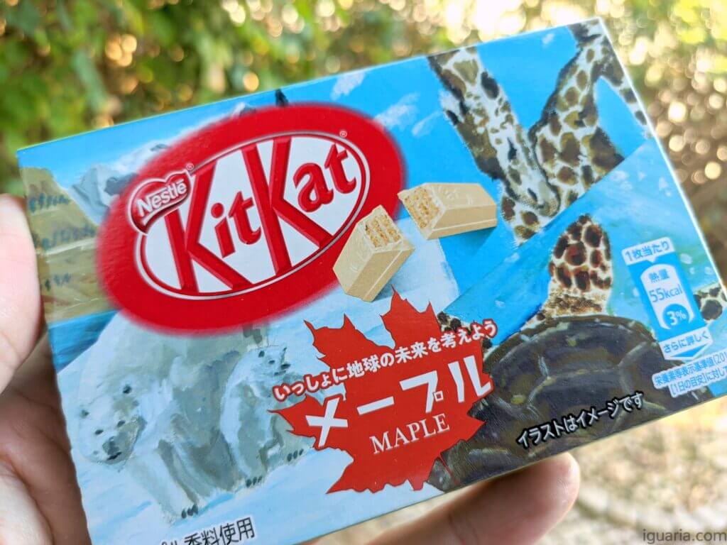 Kitkat Maple Syrup • Iguaria Receita e Culinária